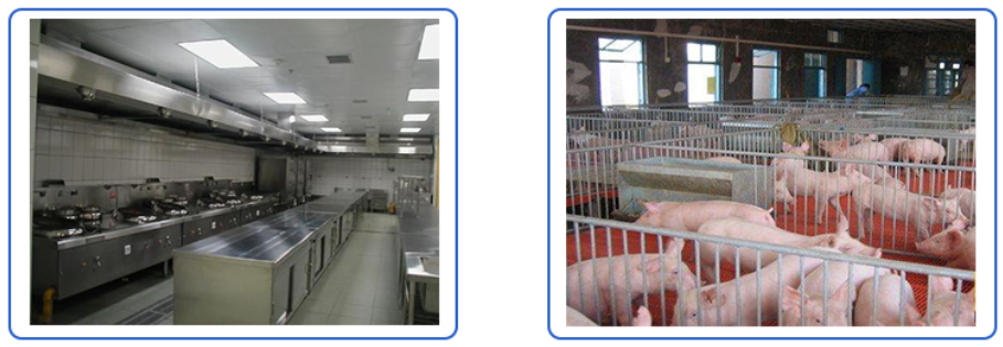 aplicaci&oacute;n RS